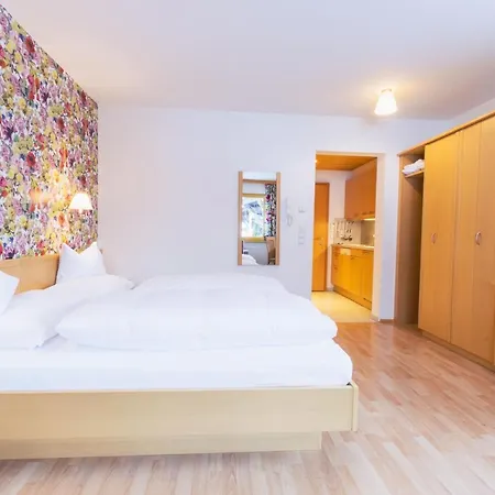 Haus Braunarl Apartment *